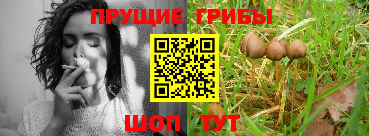 Псилоцибиновые грибы мухоморы  Вход с VPN  Пенза  Псилоцибиновые грибы мицелий 